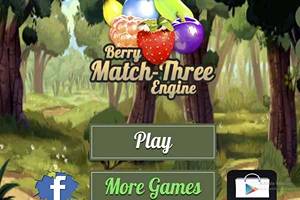Berry Match Game