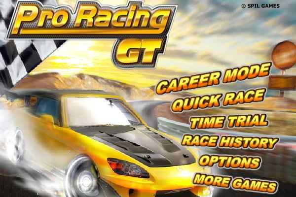 Play Online Pro Racing GT Game