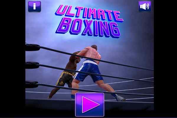 Ultimate Boxing Game