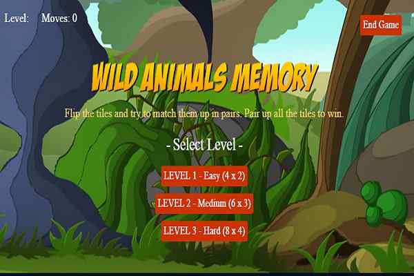 Wild Animals Memory
