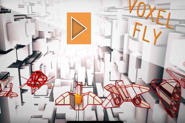 Play Online Voxel Fly Game