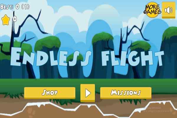 Endless Flight