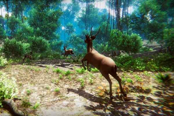 Hunter 3D