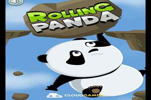 Play Online Rolling Panda Game
