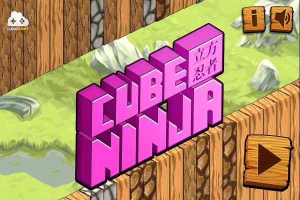 Cube Ninja