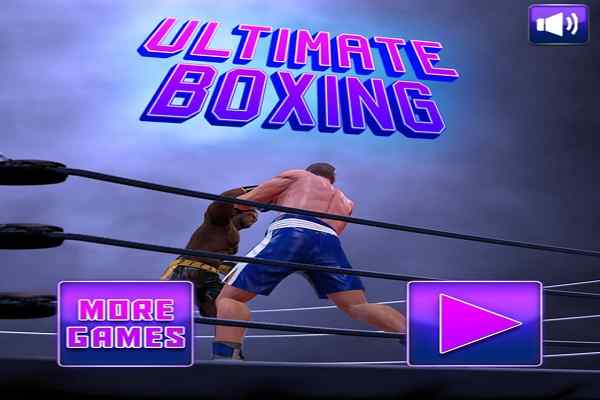 Ultimate Boxing