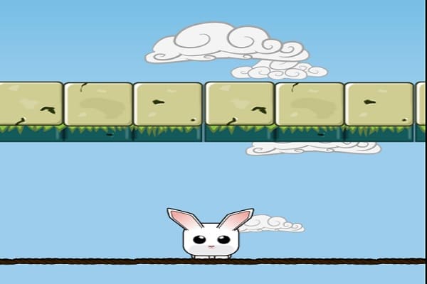 Rabbit Jump